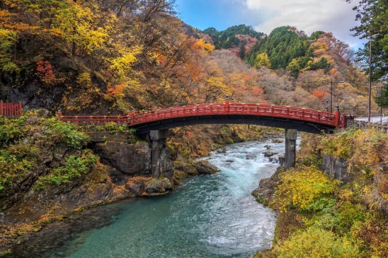 From Tokyo:Private Nikko World Heritage Site Day Tour by Car - The Sum Up