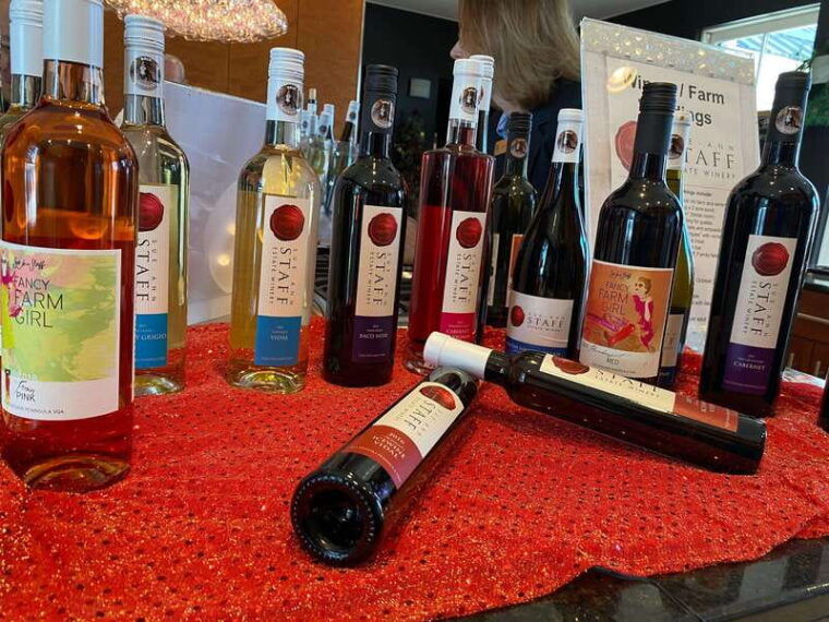 from-toronto-niagara-falls-day-trip-wine-tasting
