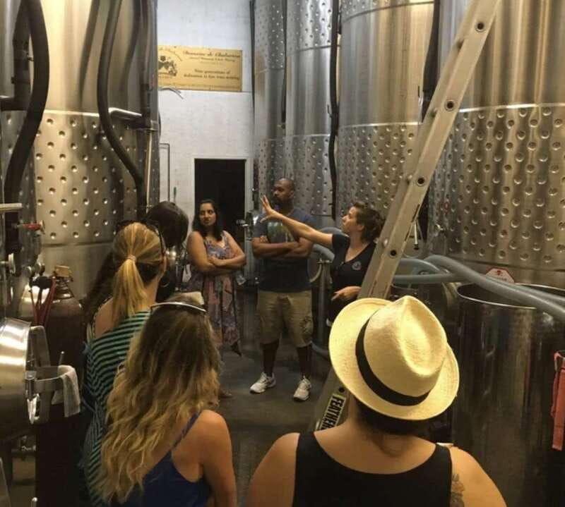from-toronto-niagara-wine-tours