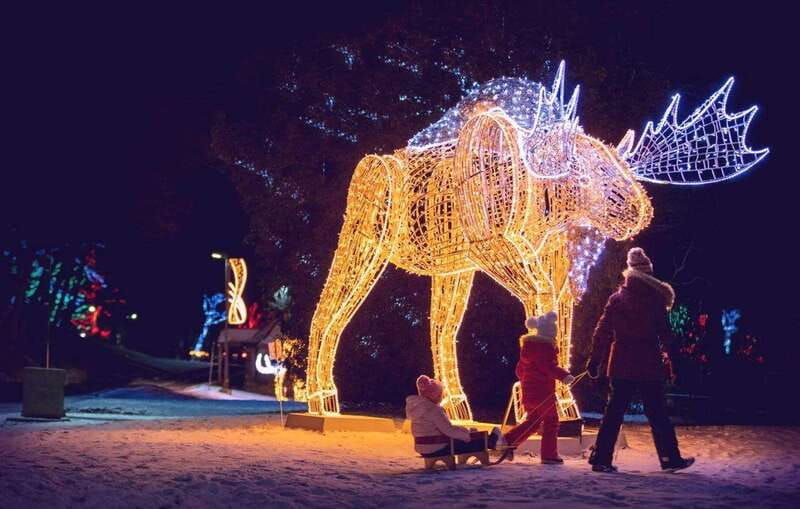 from-toronto-winter-festival-of-lights-niagara-falls-tour