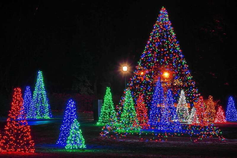 from-toronto-winter-festival-of-lights-niagara-falls-tour