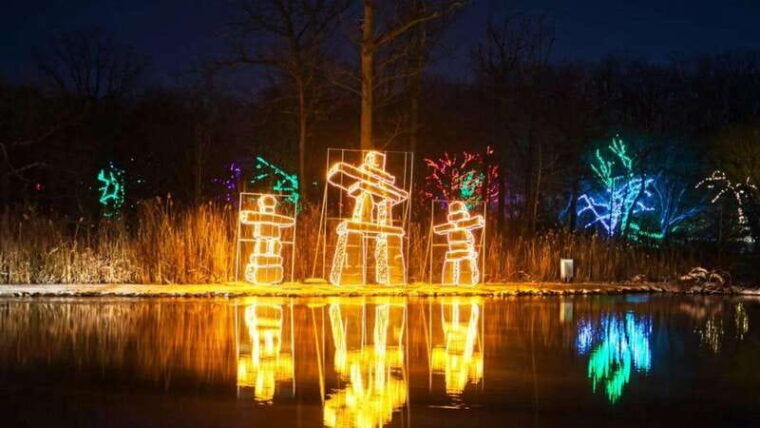 from-toronto-winter-festival-of-lights-niagara-falls-tour