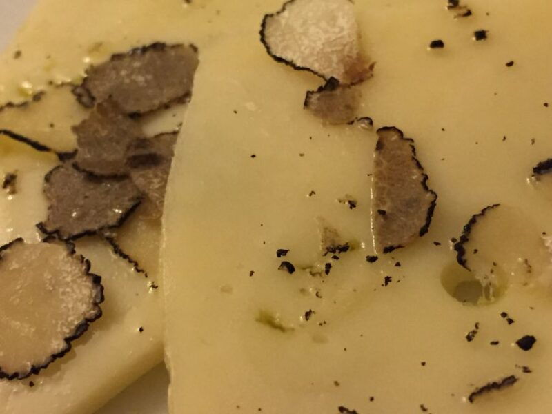 from-tortona-piedmont-truffle-hunting-experience