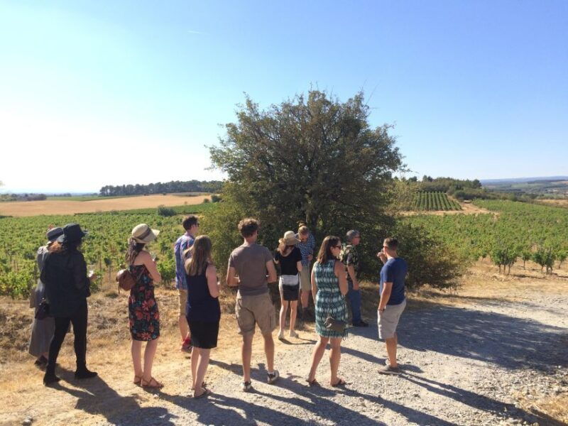 from-toulouse-to-the-cite-de-carcassonne-and-wine-tasting