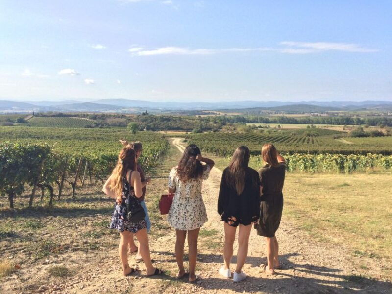 from-toulouse-to-the-cite-de-carcassonne-and-wine-tasting