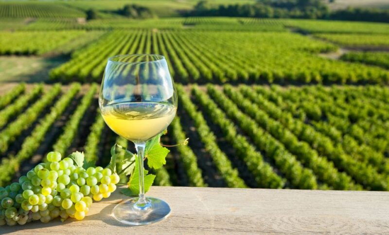 from-tours-loire-valley-wineries-day-trip-with-tastings