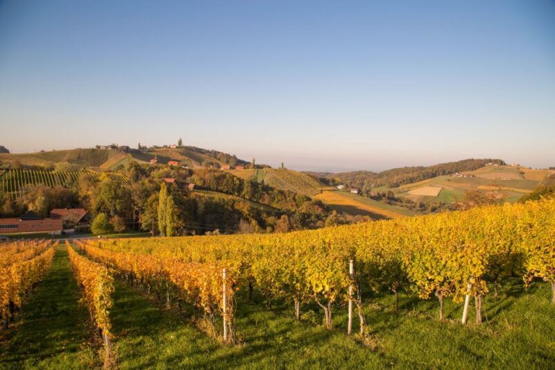 from-tours-loire-valley-wineries-day-trip-with-tastings