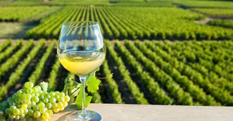 from-tours-loire-valley-wineries-day-trip-with-tastings