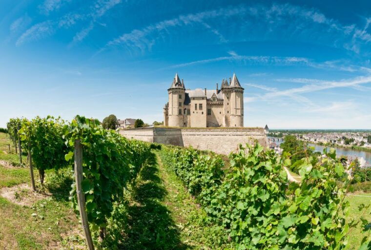 from-tours-loire-valley-wineries-day-trip-with-tastings