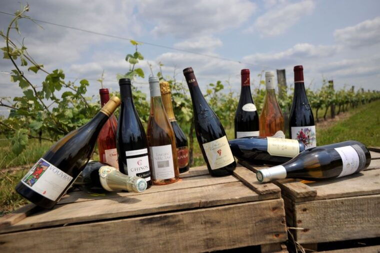 from-tours-loire-valley-wineries-day-trip-with-tastings