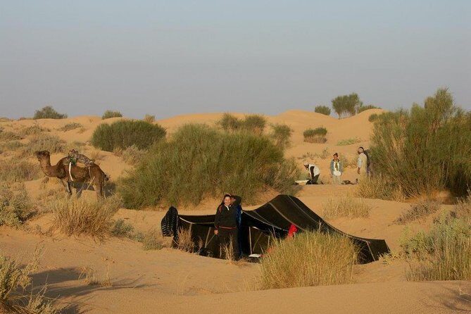 From Tozeur: 3-Day Desert Trip - Key Points
