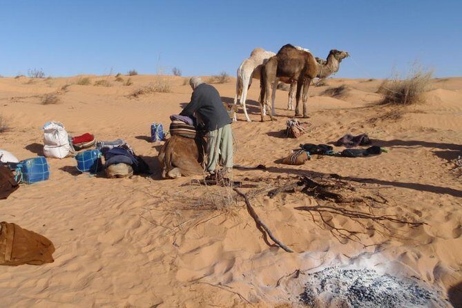 From Tozeur: 3-Day Desert Trip - Practical Tips for Travelers
