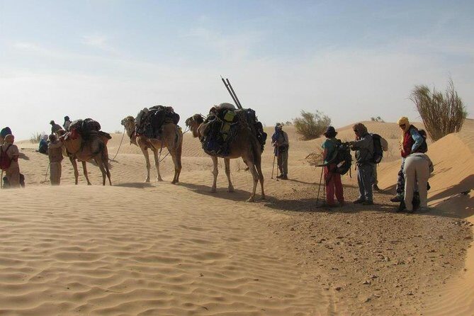 From Tozeur: 3-Day Desert Trip - FAQ