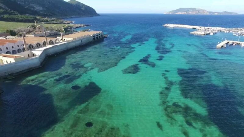 from-trapani-day-cruise-to-favignana-levanzo-with-lunch