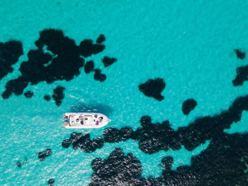 from-trapani-egadi-islands-favignana-levanzo-cruise