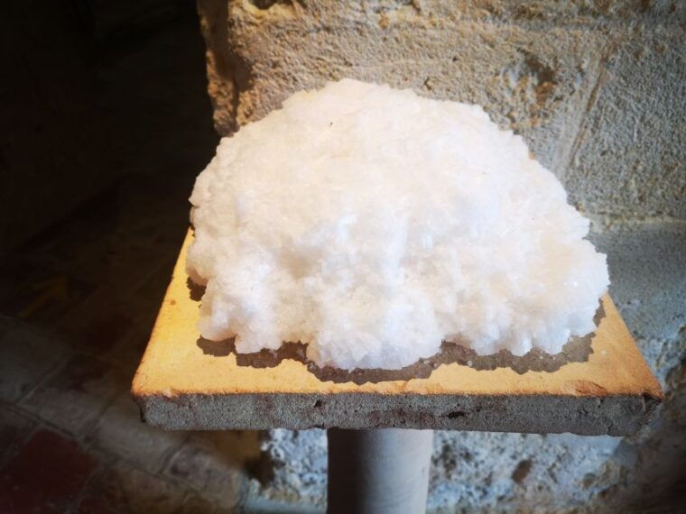 from-trapani-salt-road-tour-with-winery-visit-and-boat-trip