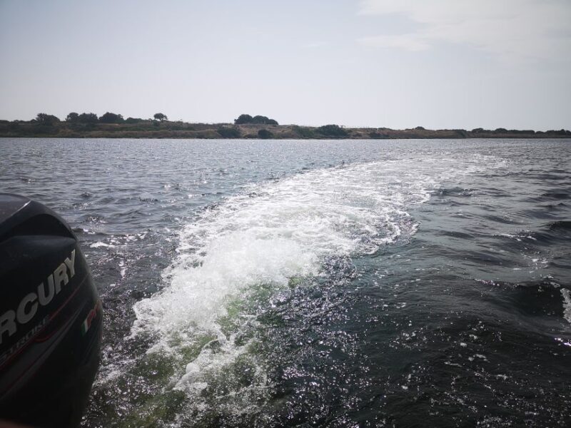 From Trapani: Stagnone Islands of Marsala and salt pans - Who Should Consider This Tour?