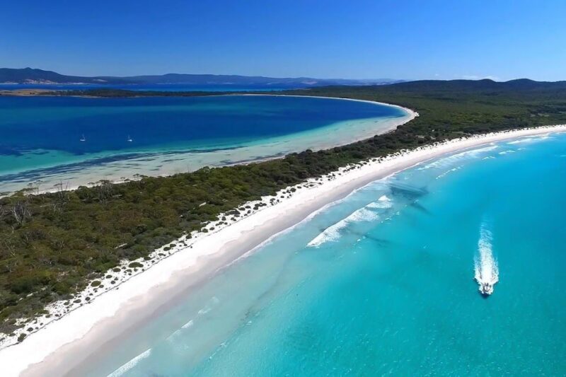 From Triabunna: Maria Island Cruise & Guided Walk with Lunch - Who Will Love This Tour?
