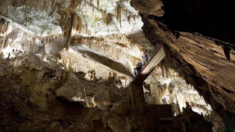 From Trieste: Postojna Cave & Predjama Castle Tour - Practical Tips for Your Visit