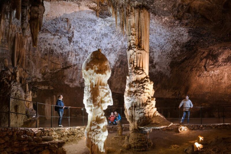 From Trieste - Postojna Caves and Predjama Castle - What’s Missing? And Who Should Consider This Tour?