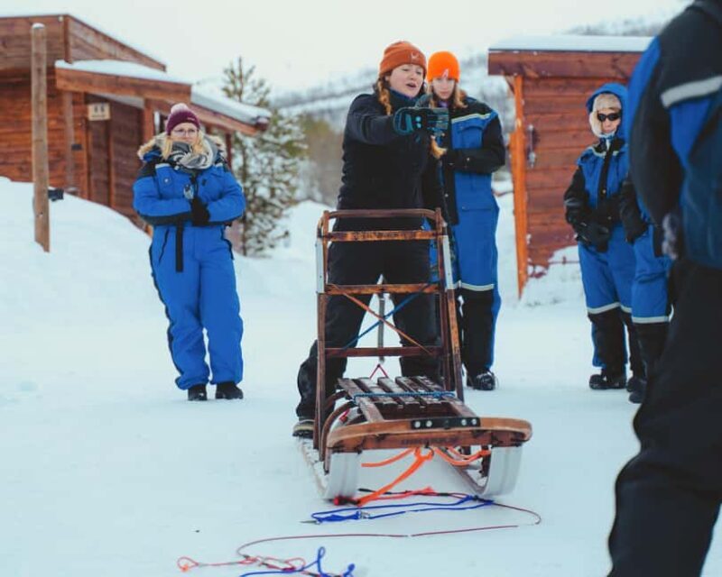 From Tromsø: Advanced Dog Sledding Daytime & Snow Park Visit - From Tromsø: Advanced Dog Sledding Daytime & Snow Park Visit — An authentic Arctic adventure