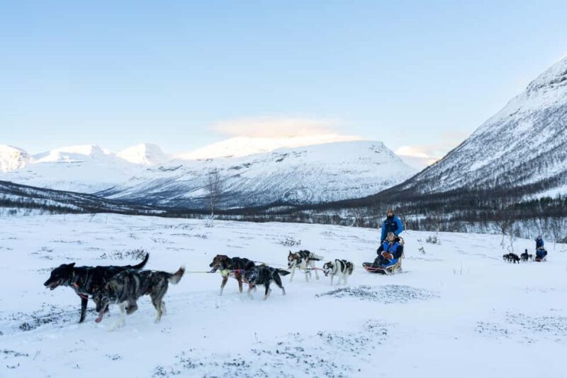 From Tromsø: Advanced Dog Sledding Daytime & Snow Park Visit - Key Points