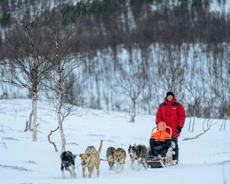 From Tromsø: Advanced Dog Sledding Daytime & Snow Park Visit - Is it worth the price?