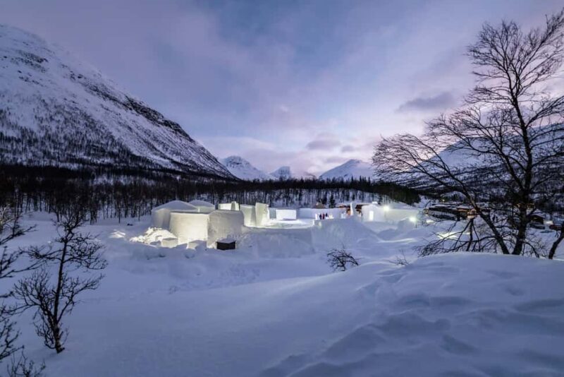 From Tromsø: Advanced Dog Sledding Daytime & Snow Park Visit - Final thoughts