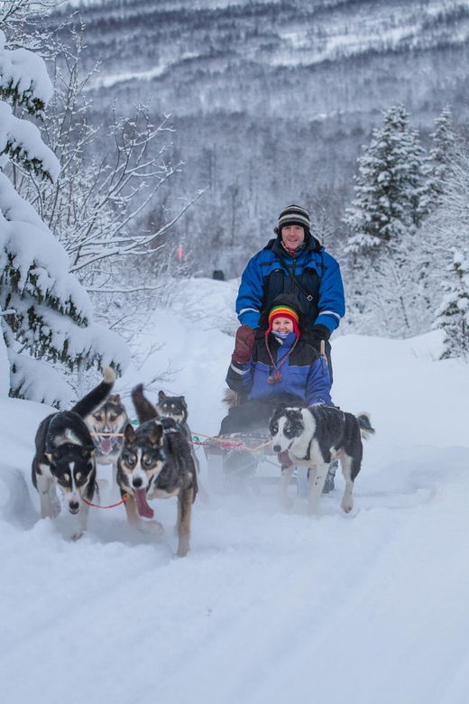 from-tromso-advanced-dog-sledding-tour-at-camp-tamok