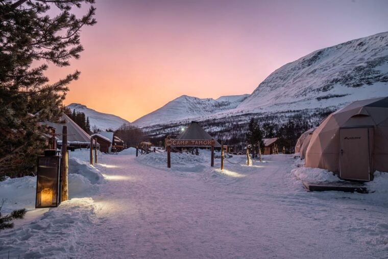 from-tromso-advanced-dog-sledding-tour-at-camp-tamok