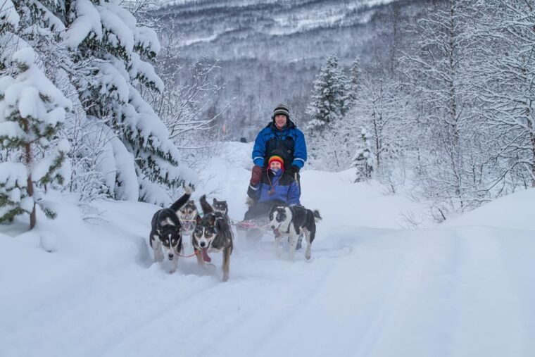 from-tromso-advanced-dog-sledding-tour-at-camp-tamok