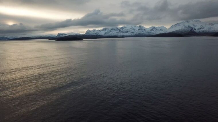 from-tromso-all-inclusive-whale-orca-and-sea-bird-safari