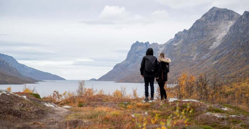 from-tromso-arctic-roadtrip-small-group-4x4-van
