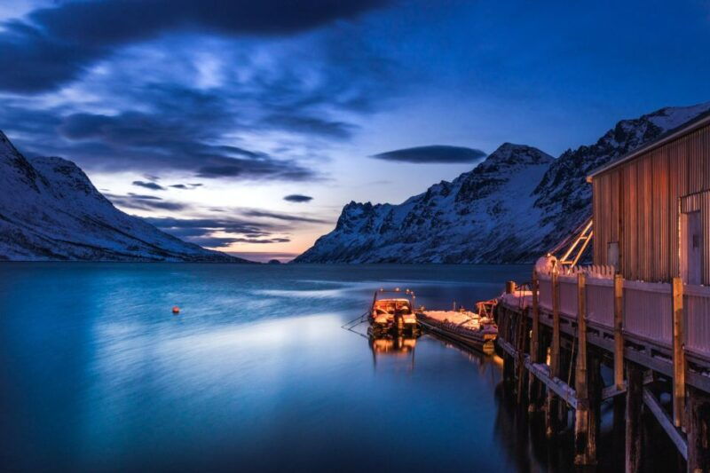 from-tromso-arctic-wildlife-fjord-sightseeing-tour-by-car