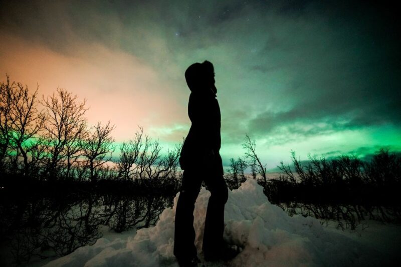 From Tromsø: Aurora Borealis - What to Expect on the Night