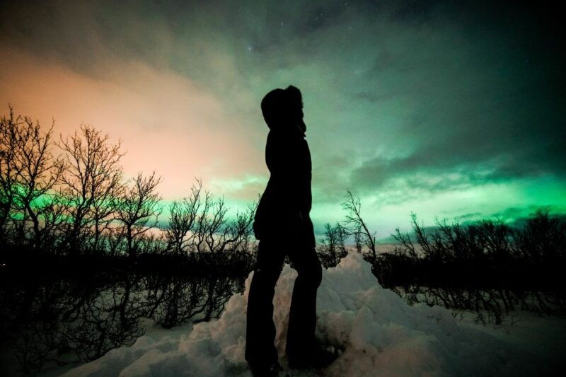 from-tromso-aurora-borealis-tour