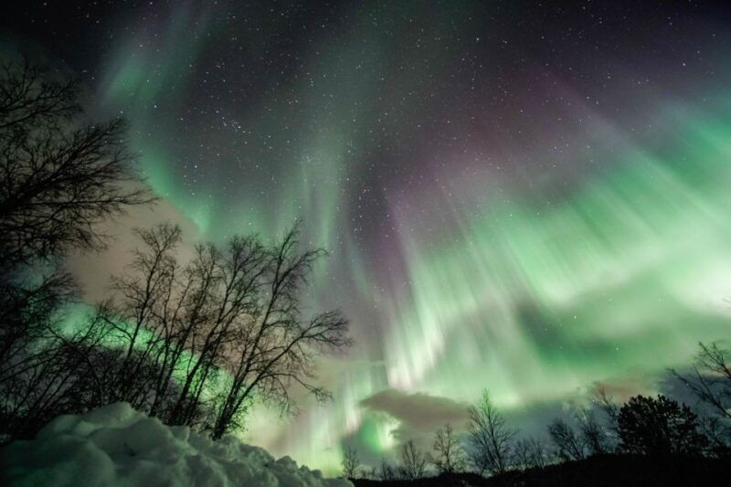 from-tromso-aurora-borealis-tour