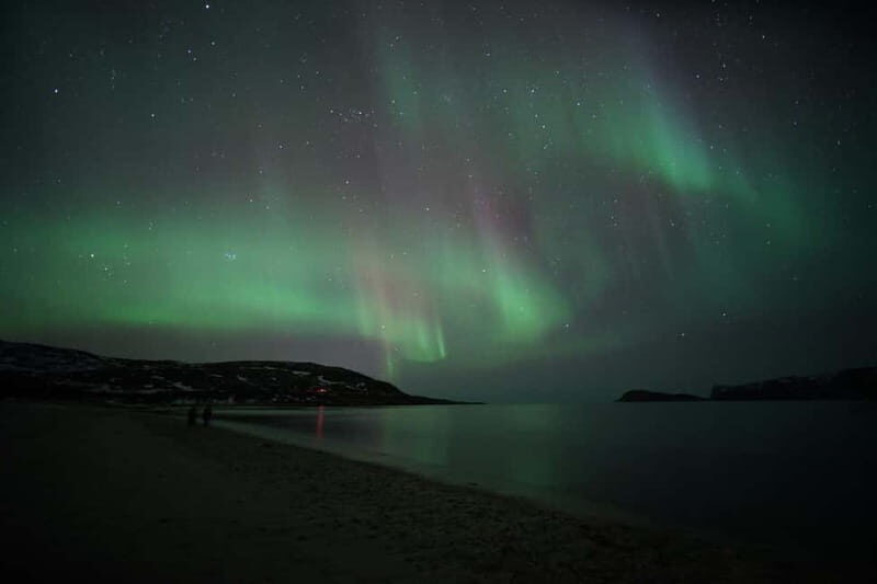 From Tromsø: Aurora Bus Tour with Snacks, Photos, and Drinks - An In-Depth Look at the Experience