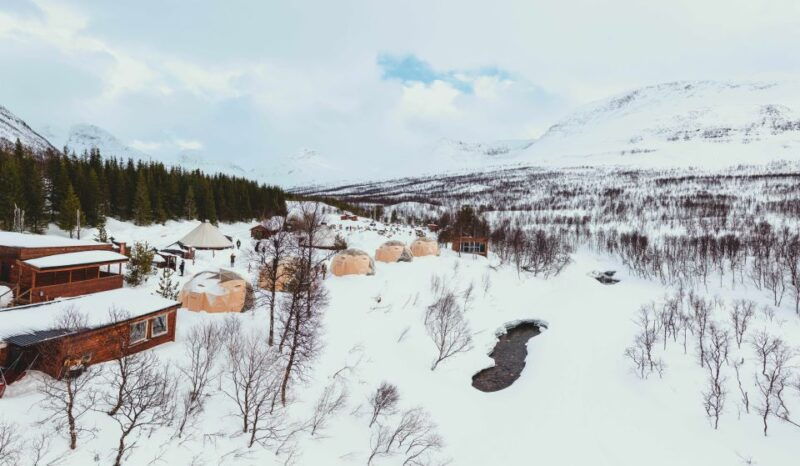 from-tromso-daytime-reindeer-sledding-at-camp-tamok