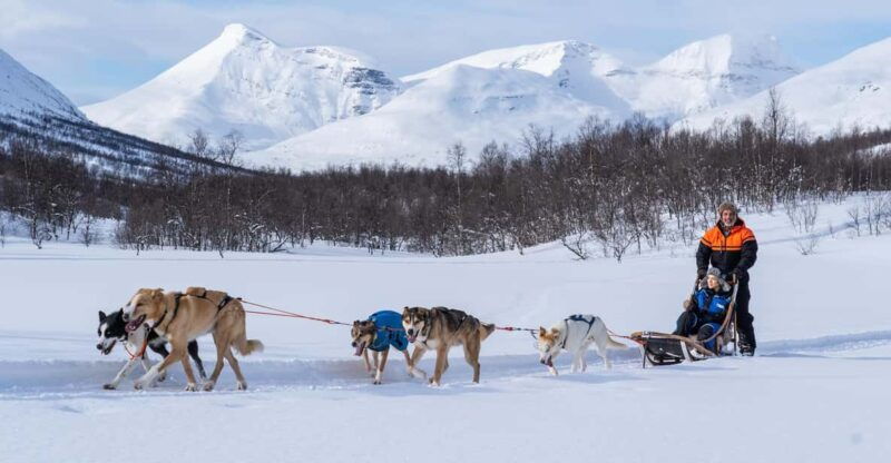 from-tromso-dog-sledding-adventure-in-tamokdalen