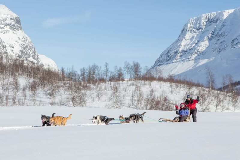 from-tromso-dog-sledding-adventure-in-tamokdalen