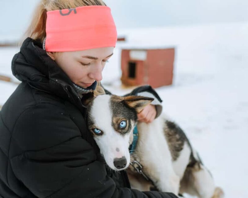 From Tromsø: Dog Sledding Experience with Transfer - Who Will Love This Tour?