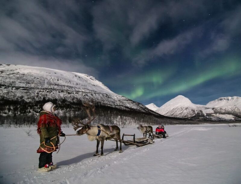 from-tromso-evening-reindeer-sledding-at-camp-tamok