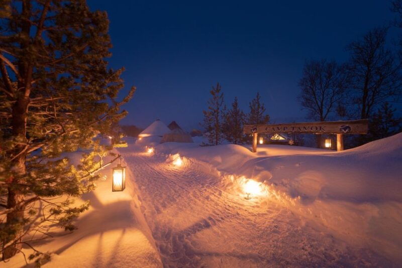 from-tromso-evening-reindeer-sledding-at-camp-tamok
