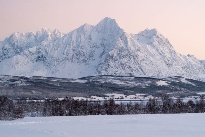 from-tromso-fun-and-easy-dog-sledding-adventure