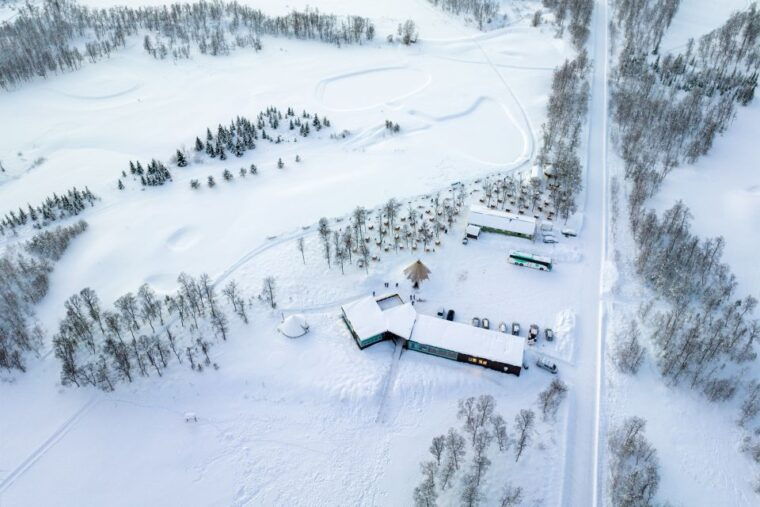 from-tromso-fun-and-easy-dog-sledding-adventure