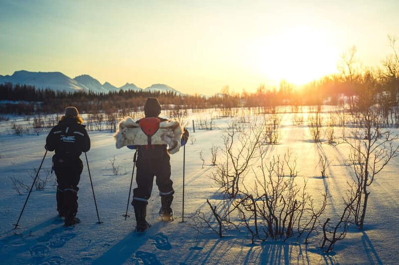 From Tromsø: Guided Husky Snowshoe Hike and Husky Camp Visit - Key Points