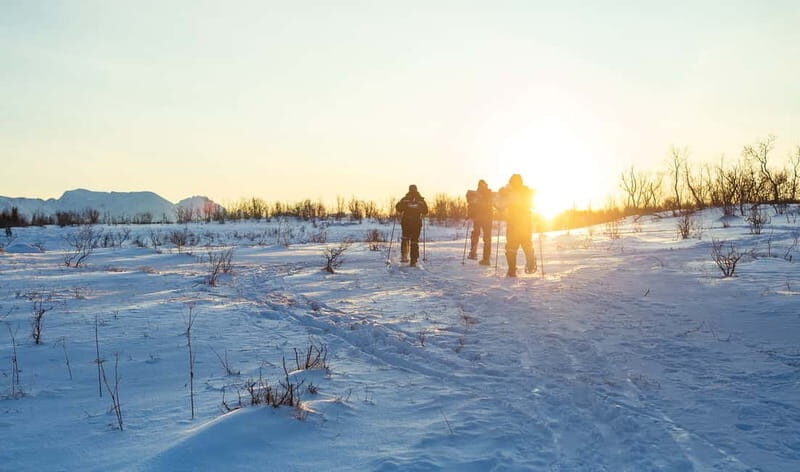 From Tromsø: Guided Husky Snowshoe Hike and Husky Camp Visit - The Sum Up: Why This Tour Is a Solid Choice