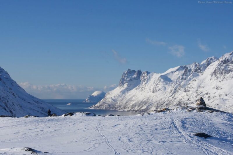 From Tromsø: Guided Snowshoe Hike Experience - Key Points