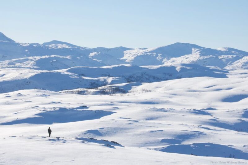 From Tromsø: Guided Snowshoe Hike Experience - Exploring the Arctic Wilderness: What to Expect